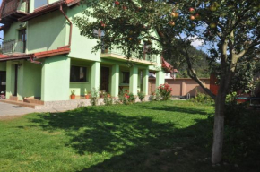 Vilman House Râşnov